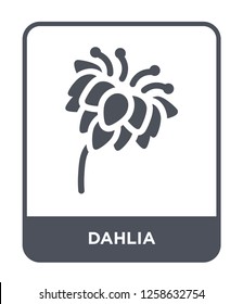 dahlia icon vector on white background, dahlia trendy filled icons from Nature collection, dahlia simple element illustration