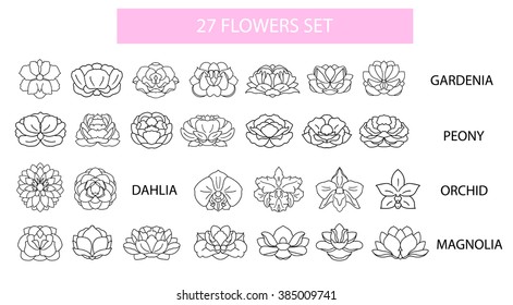 Dahlia, magnolia, orchid, gardenia, peony flower collection. Set of flat thin line modern icons. Logo or icons concept