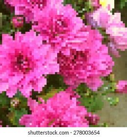 Dahlia. Estructura mosaica. Pixels.