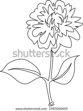 Dahlia in one continuous line. Line art in one line in the form of a dahlia with one flower