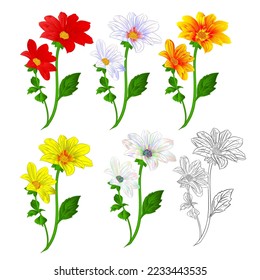 Dahlia  red white orange yellow outline summer flowers stems various colors  on a white background vector illustration vector illustration editable hand draw 