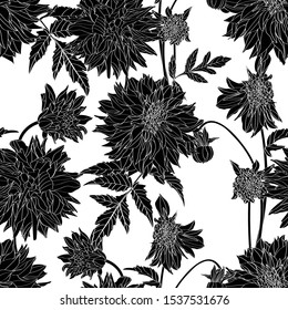 Dahlia. Seamless pattern of black white line dahlia flowers. Floral background.