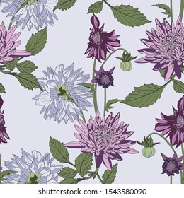 Dahlia. Seamless pattern of vintage violet Dahlia flowers. Floral background.