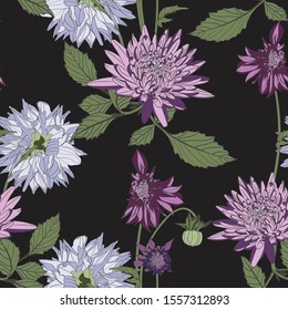 Dahlia. Seamless pattern of vintage violet Dahlia flowers. Floral black background.
