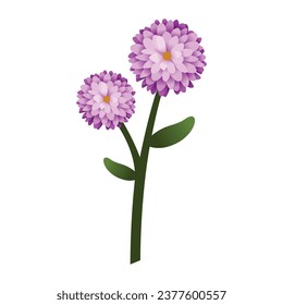 Dahlia with stalk vector illustration