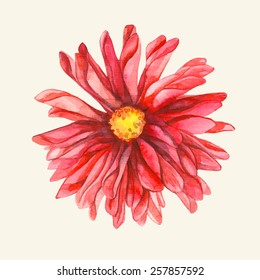 Dahlia. Watercolor. Vector