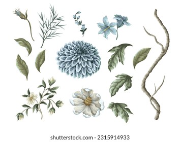 Dahlia,magnolia,branches and leaaves isolated. Vector