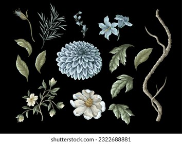 Dahlia, magnolia, ramas y hojas aisladas. Vector