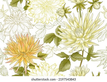 Dahlias flowers, outline and coloured style Seamless pattern, background. Vector illustration. In botanical style