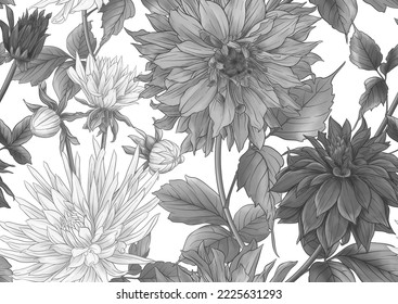 Dahlias flowers, outline and coloured style Seamless pattern, background. Vector illustration. In botanical style