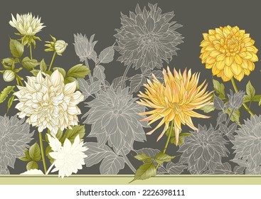 Dahlias flowers, outline and coloured style Seamless pattern, background. Vector illustration. In botanical style