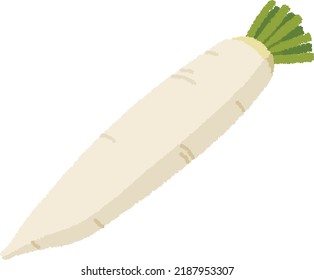 Daikon is a biennial vegetable belonging to the genus Daikon of the Brassicaceae family. The enlarged roots are mainly eaten, and the leaves are also used as food.