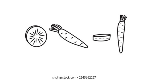 Daikon, Carrot, or Radish slice and full line art. vector illustration