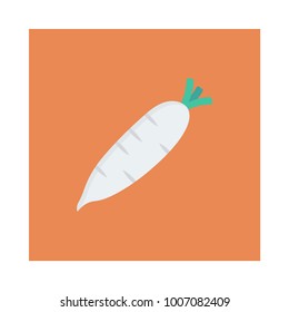 daikon food vegetable 