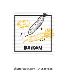 Daikon. Hand drawn realistic vector illustration. Organic vegetable. Eco food. Farm market product. Isolated white background. Can be used for shop, menu, card, poster, label