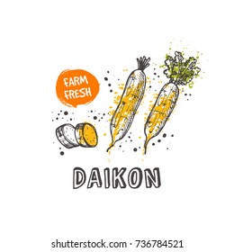 Daikon isolated set. Hand drawn vector illustration with watercolor splash. Can be used for street festival, farmers market, country fair, shop, menu, cafe, restaurant, poster, banner.