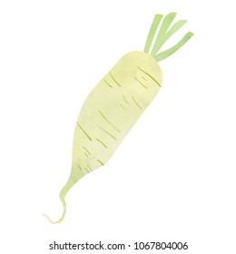 Daikon, japan radish. Cartoon clip art illustration on white background.