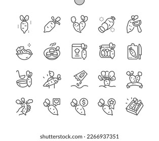 Daikon. Nature vegetable organic food nutrition. Daikon seeds. Buy, price and product reviews. Pixel Perfect Vector Thin Line Icons. Simple Minimal Pictogram