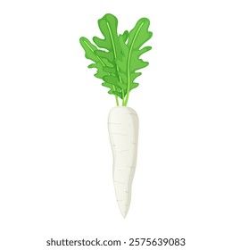 Daikon radish with green leaves in flat design. Organic vegetable harvest. Vector illustration isolated.