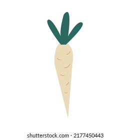 Raíz de daikon con tallo verde aislado raíz vegetal. Ilustración vectorial.