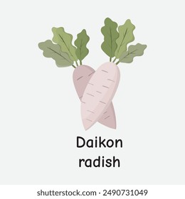 Daikon Radish Vector Illustration for Cooking