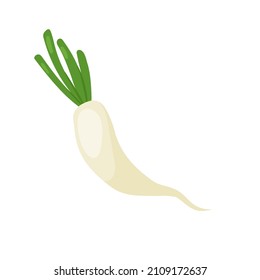 Daikon Radish Vegetable Fresh Veg Product, Organic Farm Food Production Vector Illustration. Cartoon Raw Daikon With Cut Green Leaves For Healthy Diet Isolated On White