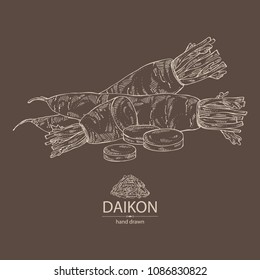 Daikon: root and a piece of daikon. Chinese radish. Vector hand drawn illustration.