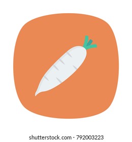 daikon vegetable food 
