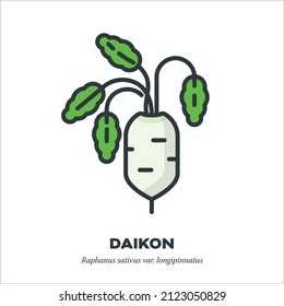 Daikon or white radish, root with leaves vegetable icon, outline with color fill style vector illustration