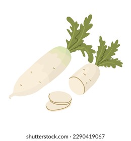 Daikon. Arrábano blanco. Verdura de raíz picante. Productos agrícolas. Cosechando verduras para el invierno. Preparación de alimentos vegetarianos. Ilustración de vectores para agricultores y mercados de alimentos.