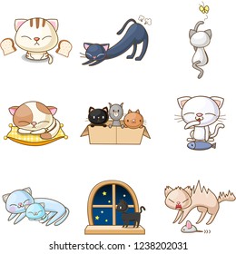 daily of cat