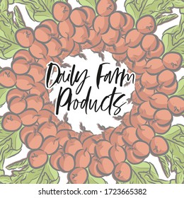 Daily Farm Products lettering and Radishes arranged in a circle. Round composition with colorful veggies arranged in a circle.