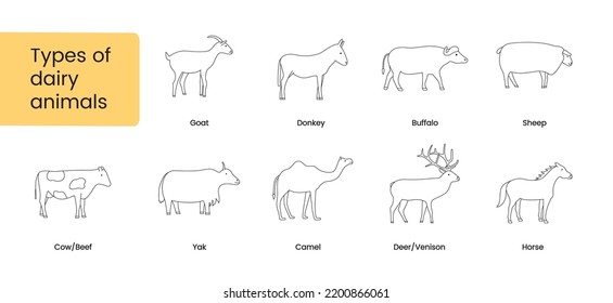 Dairy animals line icon, vector illustration of animals that give milk.
