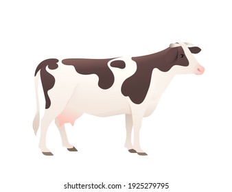 Dairy cattle ayrshire cow spotted domestic mammal animal cartoon design vector illustration on white background