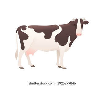 Dairy cattle ayrshire cow spotted domestic mammal animal cartoon design vector illustration on white background