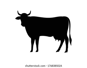 Dairy cattle or dairy cow icon