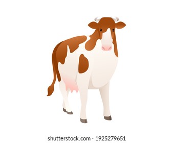 Dairy cattle simmental cow spotted domestic mammal animal cartoon design vector illustration on white background
