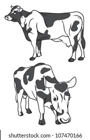 The dairy cow, black and white graphic vector.