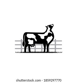 dairy cow, black and white patched coat  cattle. Cow front, side view, walking, standing, vector illustrations