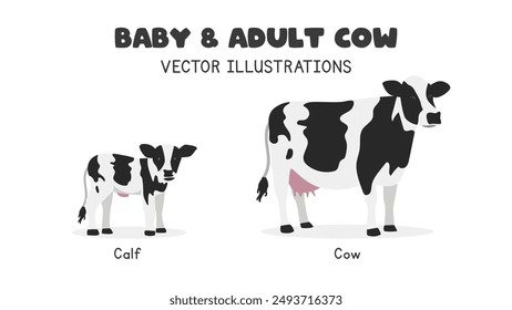 Dairy cow and calf vector illustrations. Adult and baby Holstein cow with black-and-white body cartoon clipart in flat style. Farm animals concept