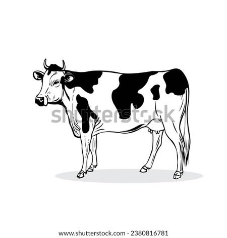 Dairy Cow Clip Art Images. Vector image of cow.