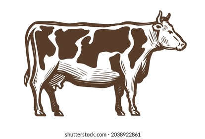 肉牛 のイラスト素材 画像 ベクター画像 Shutterstock