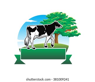 dairy cow farms livestock animal image