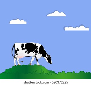 Dairy cow on a green meadow