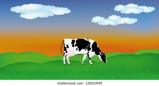 Dairy cow over summer green meadow.The rural landscape