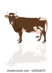 Dairy cow over white background.Vector illustration