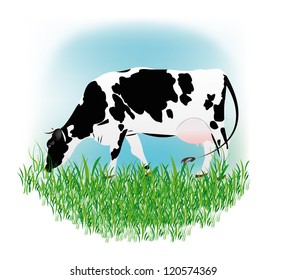 Dairy cow over white background.Vector illustration