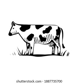 A dairy cow is standing in a meadow with tall grass. Udder full of milk. Vector illustration in cartoon style for icons, logos or prints on any surface. Hand drawn sketch on isolated white background