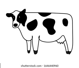 Milchkühe-Cartoon-Vektorillustration, einzeln auf weißem Hintergrund.
