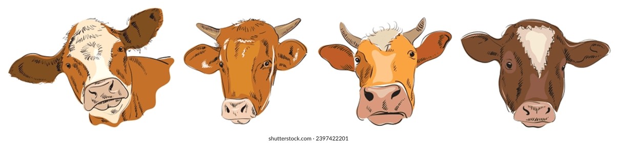 Dairy cows head portrait, set of stylized vector characters of various shapes and colors. For packaging, cards, textiles and decoration of dairy products.